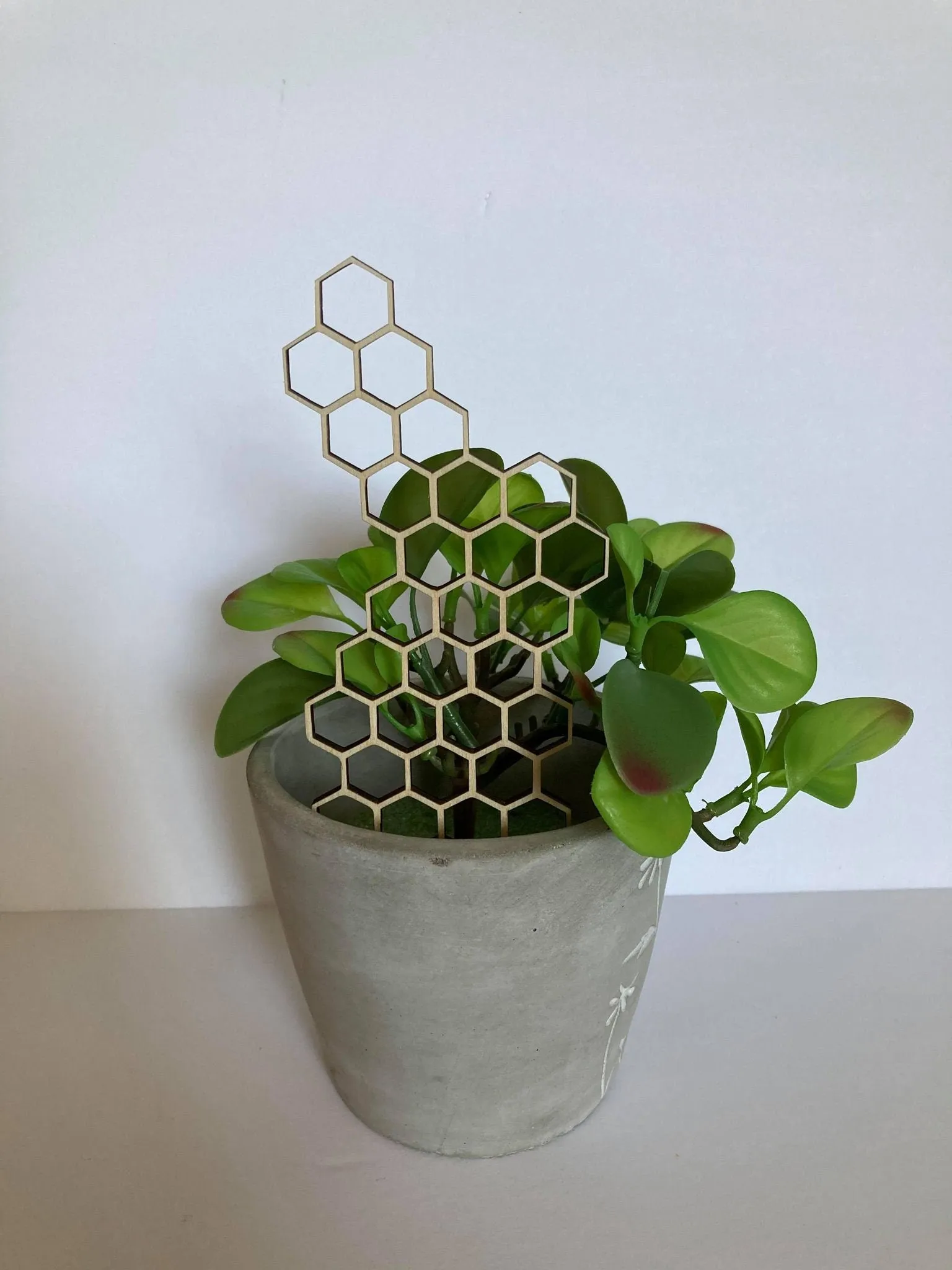 17'' 7'' 10''  | Plant Trellis | Stain Finish | Clearcoat Honeycomb | Houseplant Trellis | Indoor Garden Trellis  | Insured Shipping