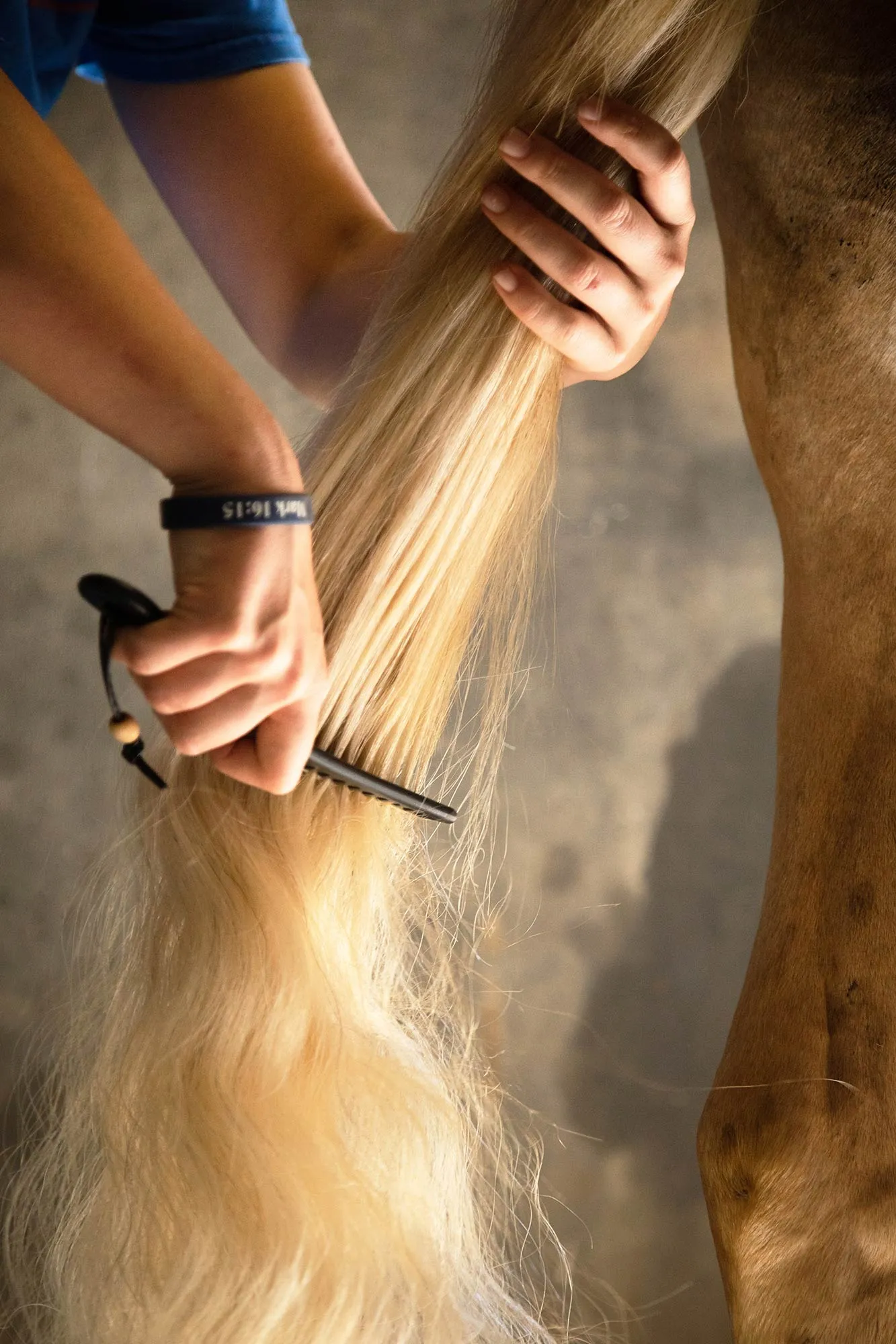 The Pony Tail Comb, each